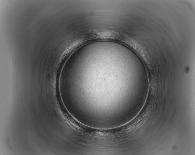 X0000098170442200805011017