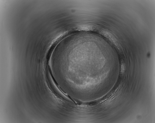 X0000098170444200805011017