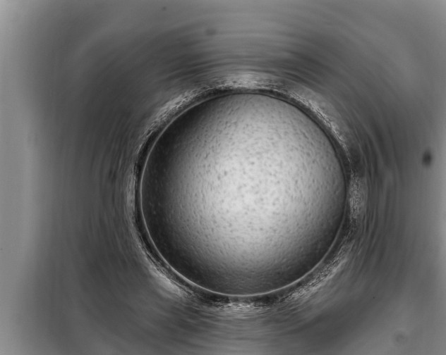 X0000098170445200805011017