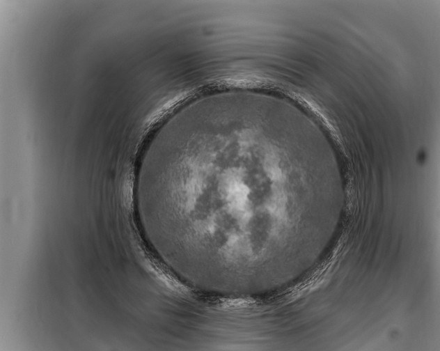 X0000098170446200805011017