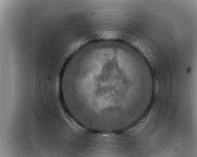 X0000098170447200805011017