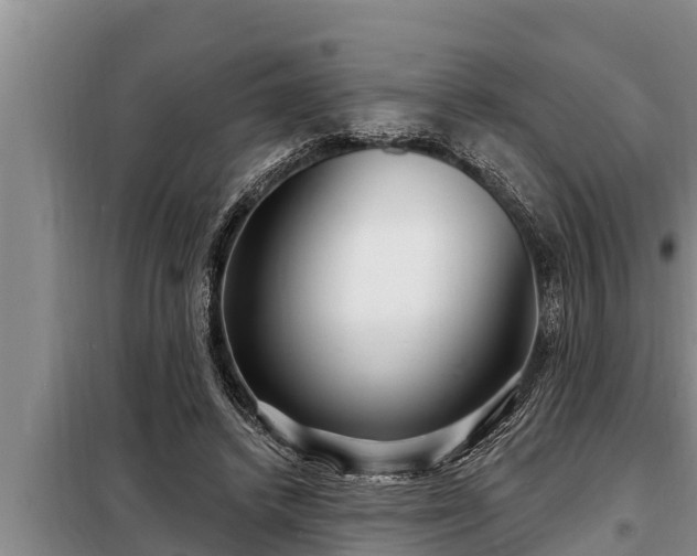 X0000098170448200805011017