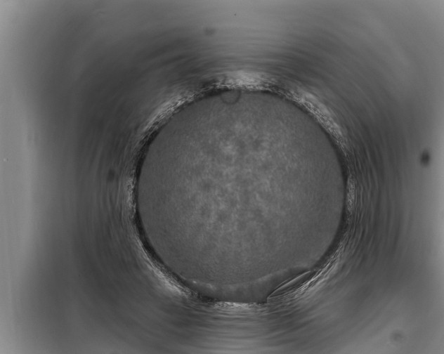 X0000098170449200805011017