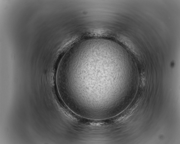 X0000098170450200805011017