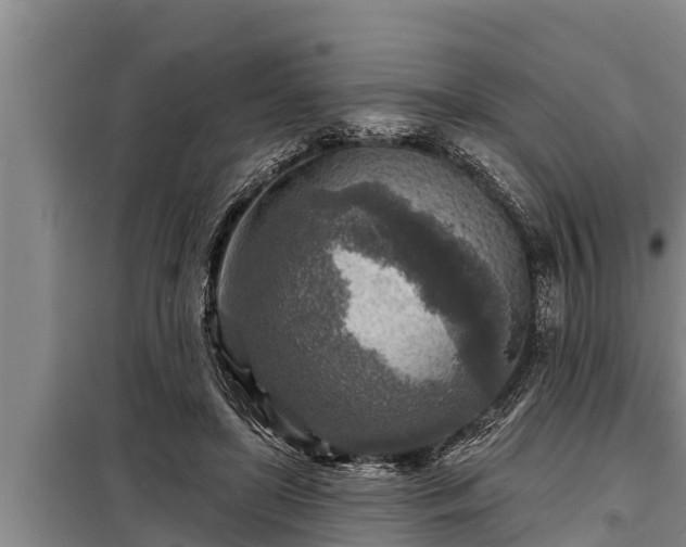 X0000098170451200805011017