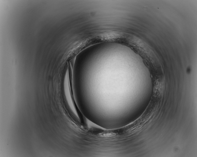 X0000098170452200805011017