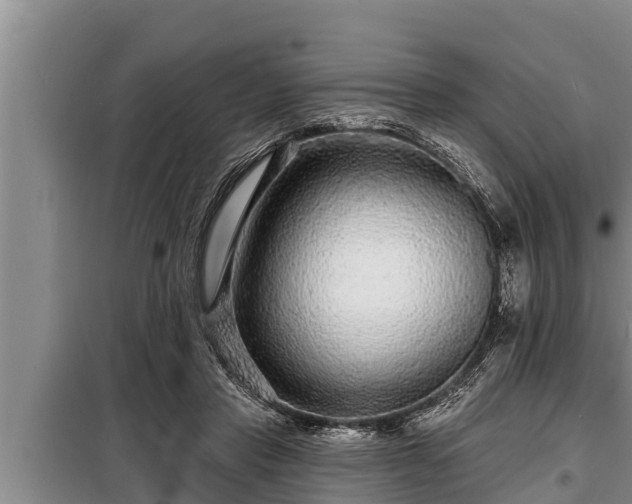 X0000098170453200805011017