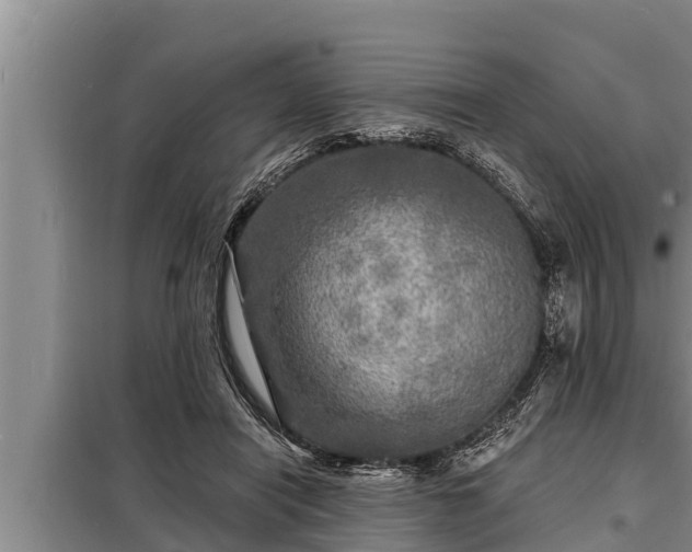 X0000098170454200805011017