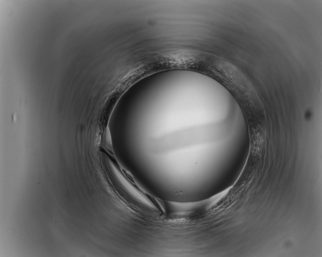 X0000098170456200805011018