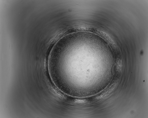 X0000098170457200805011018