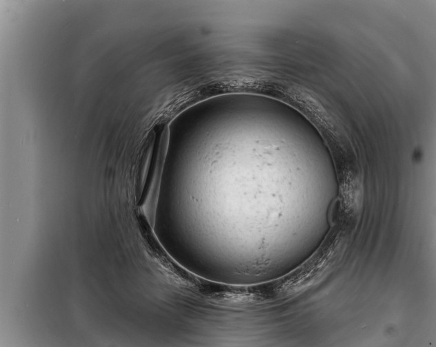 X0000098170458200805011018