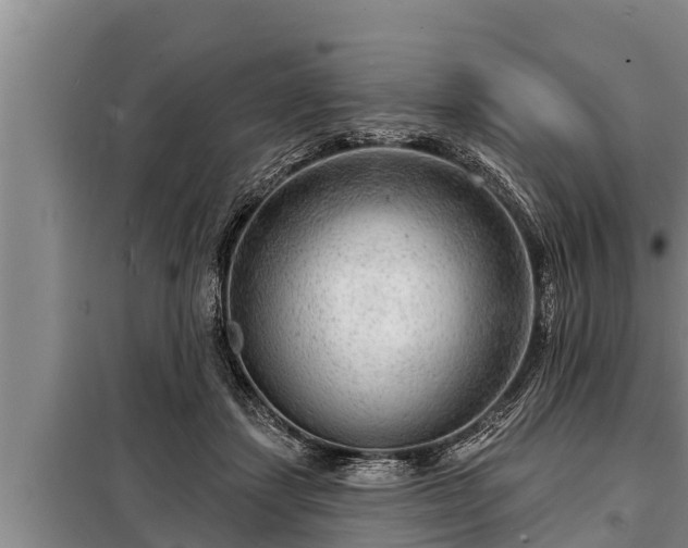 X0000098170459200805011018