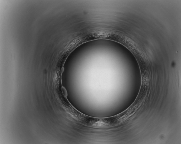 X0000098170460200805011018