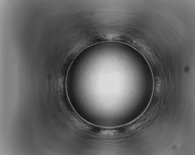 X0000098170461200805011018