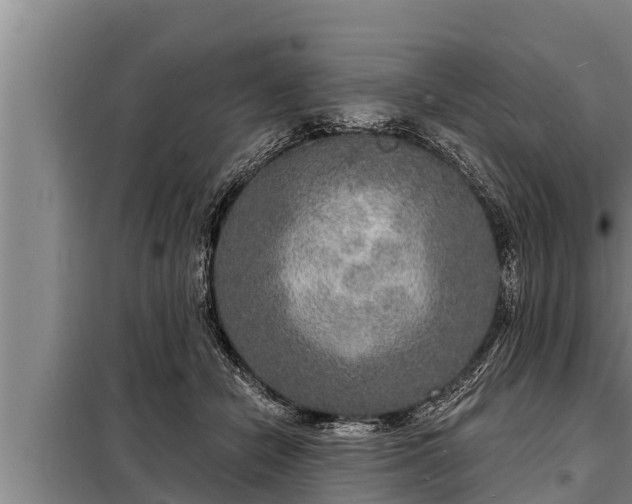 X0000098170462200805011018