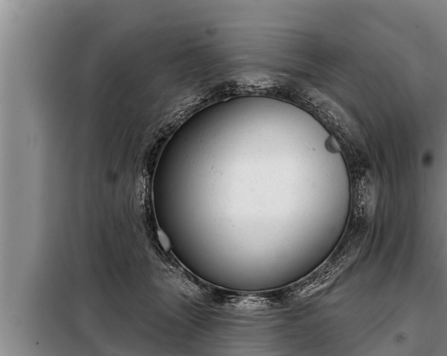 X0000098170463200805011018