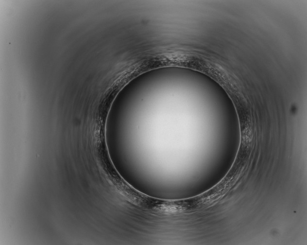 X0000098170464200805011018