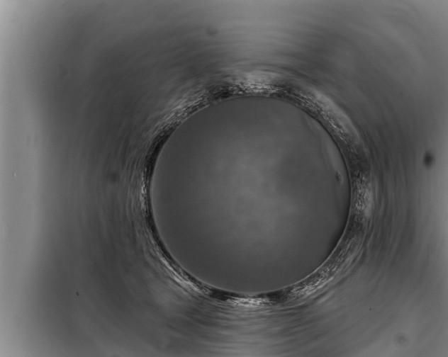 X0000098170465200805011018