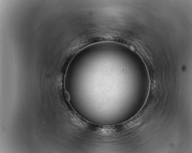 X0000098170466200805011018