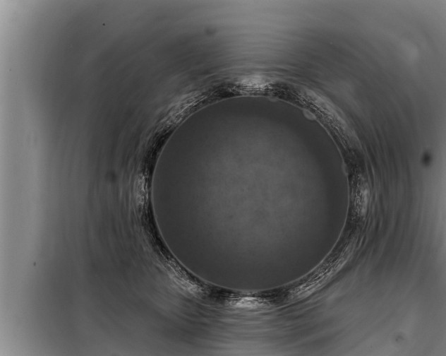 X0000098170467200805011018