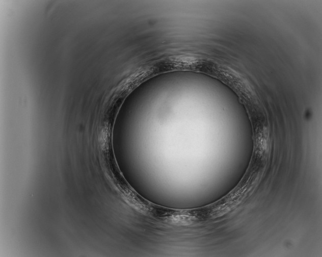 X0000098170468200805011018