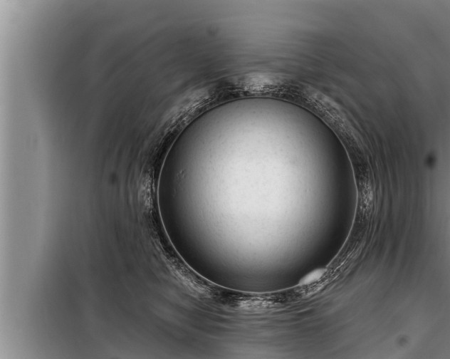 X0000098170470200805011018