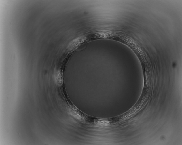 X0000098170471200805011018