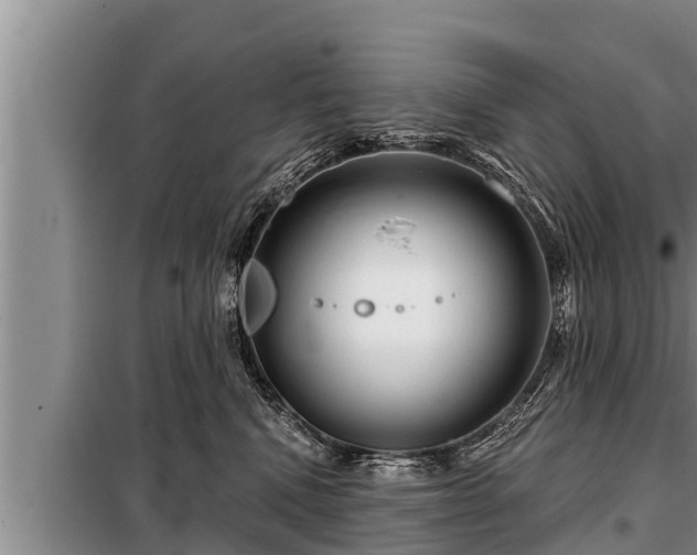 X0000098170472200805011018