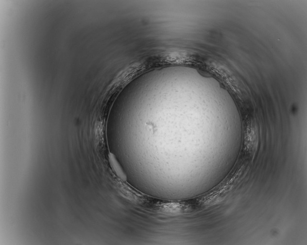 X0000098170473200805011018