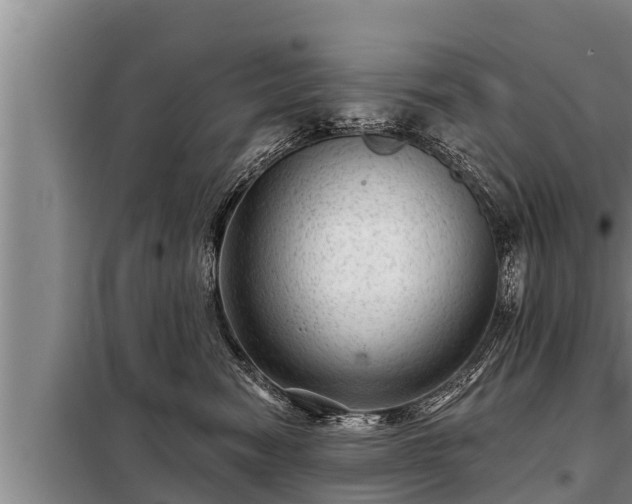 X0000098170474200805011018