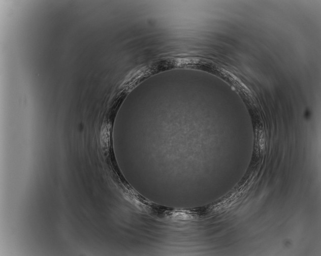 X0000098170475200805011018