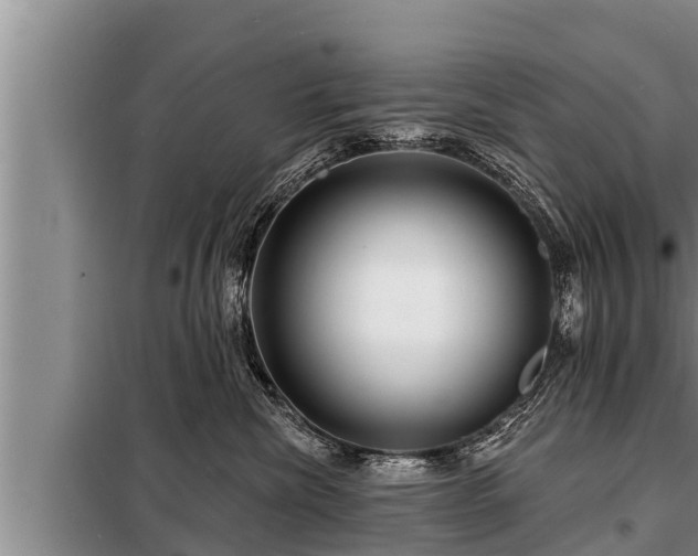 X0000098170476200805011018