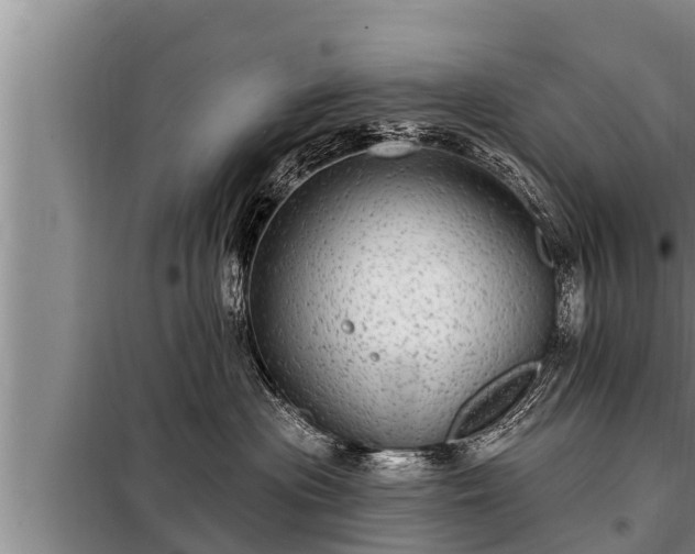 X0000098170477200805011018