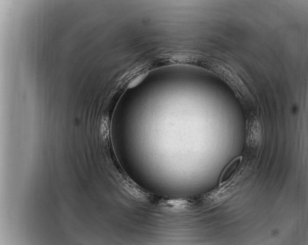 X0000098170478200805011018