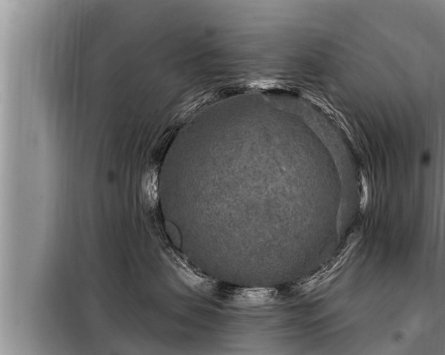 X0000098170479200805011018