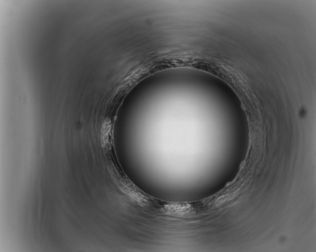 X0000098170480200805011018