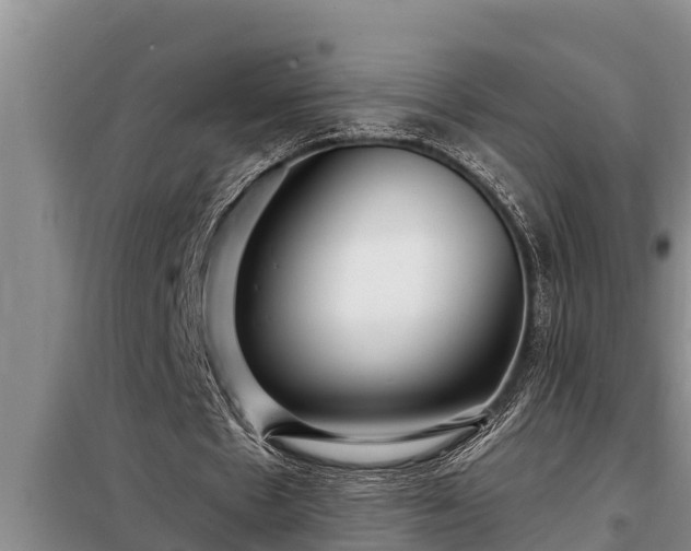 X0000098170481200805011017