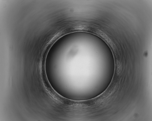 X0000098170482200805011017