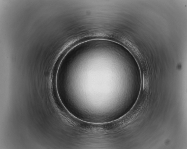 X0000098170483200805011017