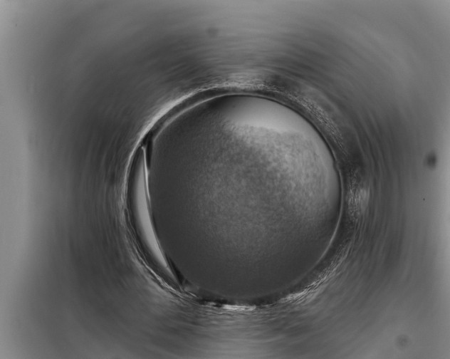 X0000098170484200805011017