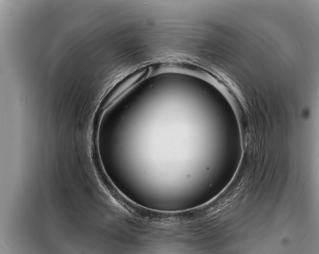 X0000098170485200805011017