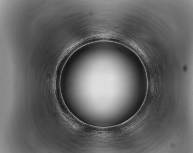 X0000098170486200805011017