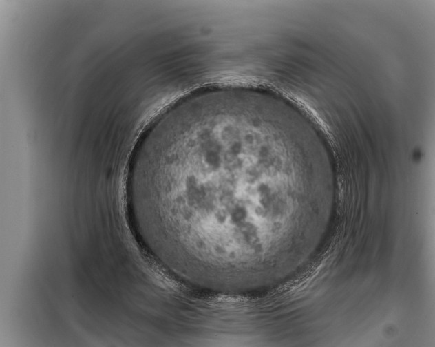 X0000098170487200805011017