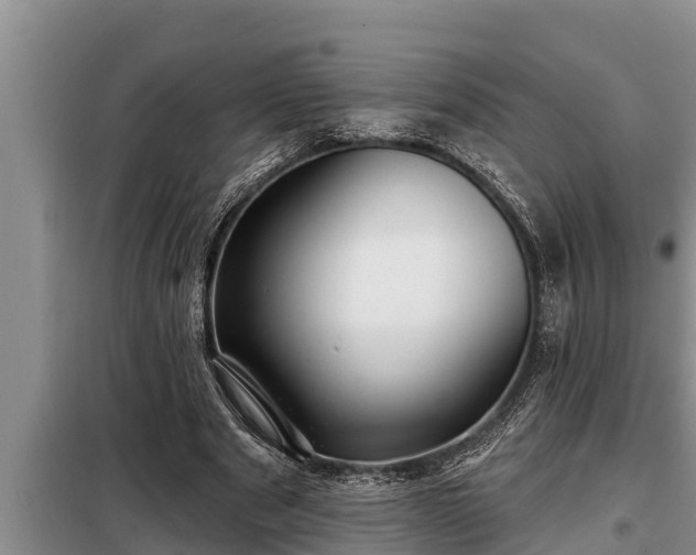 X0000098170489200805011017