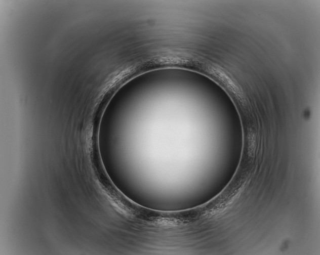 X0000098170490200805011017