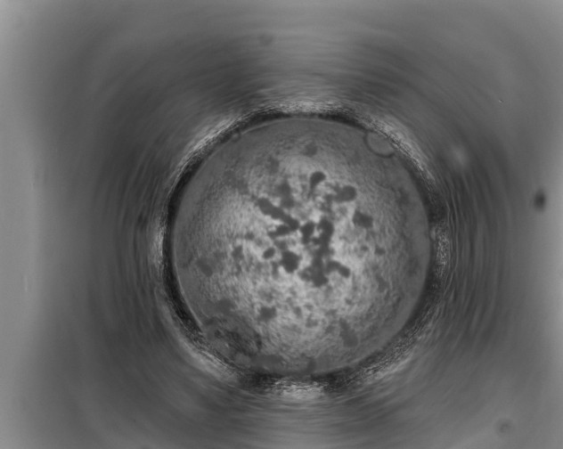 X0000098170491200805011017