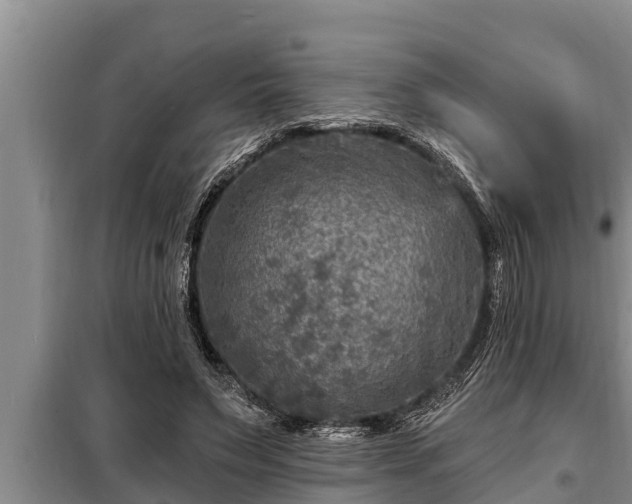 X0000098170495200805011017