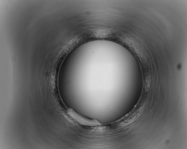 X0000098170497200805011017