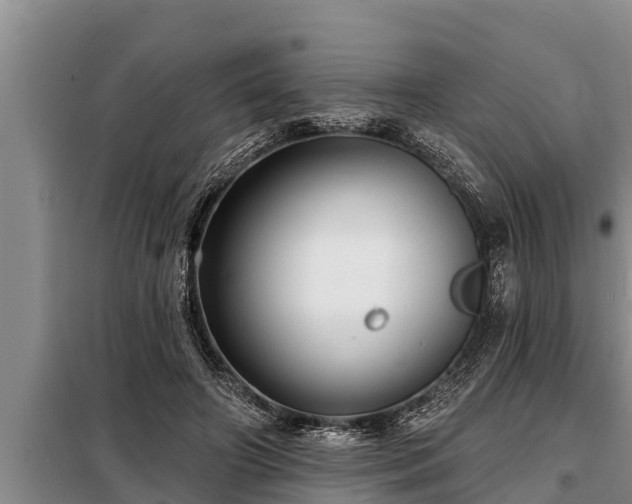 X0000098170498200805011017