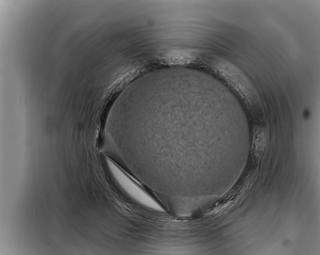 X0000098170501200805011017